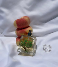 Load image into Gallery viewer, Peach Tree Eau de Parfum